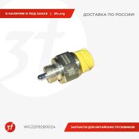 WG2209280024-ST_Датчик нейтральной скорости, HOWO T5G, standart_1.jpg