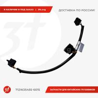 712W25455-6015_Комплект проводов блока управления нагревателем топлива, HOWO T5G, SITRAK C7H, ОРИГИНАЛ_1.jpg