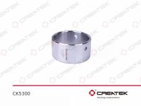 CK5300__1.jpg