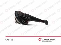 CK8455__1.jpg