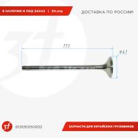 612630050002_Клапан WP12, WP10.336E53 выпускной_1.jpg