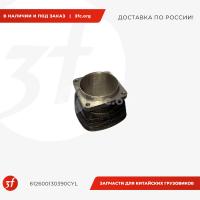 612600130390CYL_Цилиндр воздушного компрессора WP10.340 F3000_1.jpg