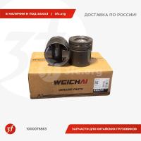 1000076563_Поршень двигателя WP12 ЕВРО-5, WEICHAI, ОРИГИНАЛ_1.jpg