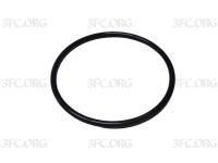 WG7117349101 _Кольцо уплотнительное задней ступицы, HOWO T5G, SITRAK C7H, ОРИГИНАЛ_1.jpg